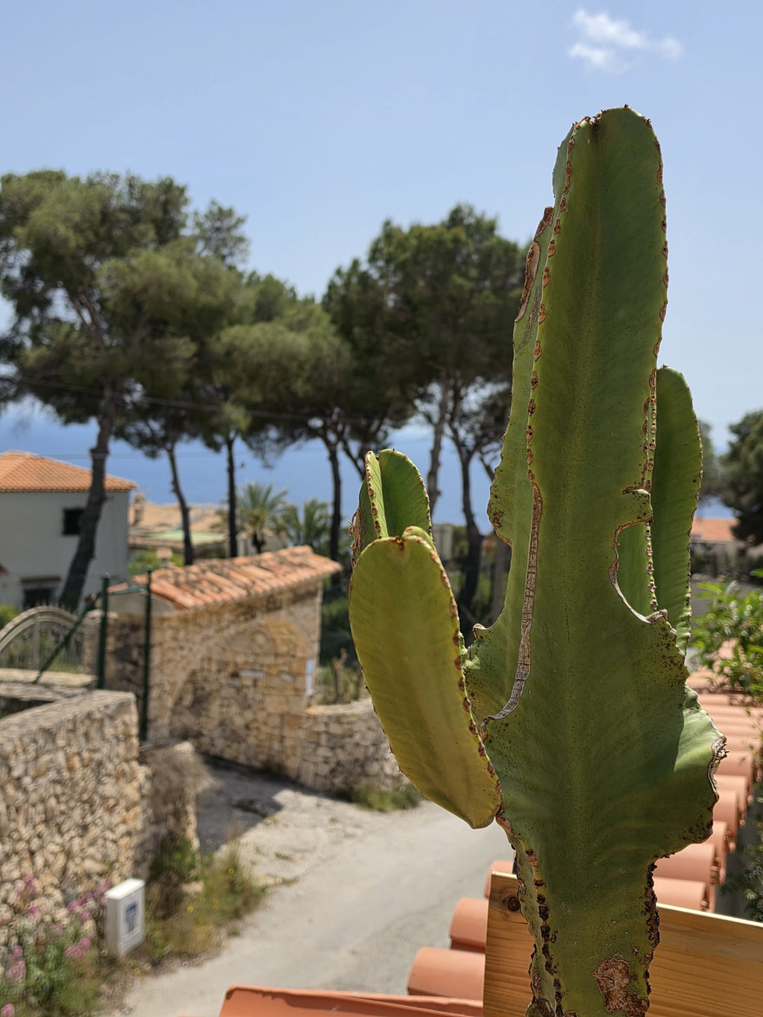 Charming villa in the prestigious area of Balcón al Mar, Jávea.
