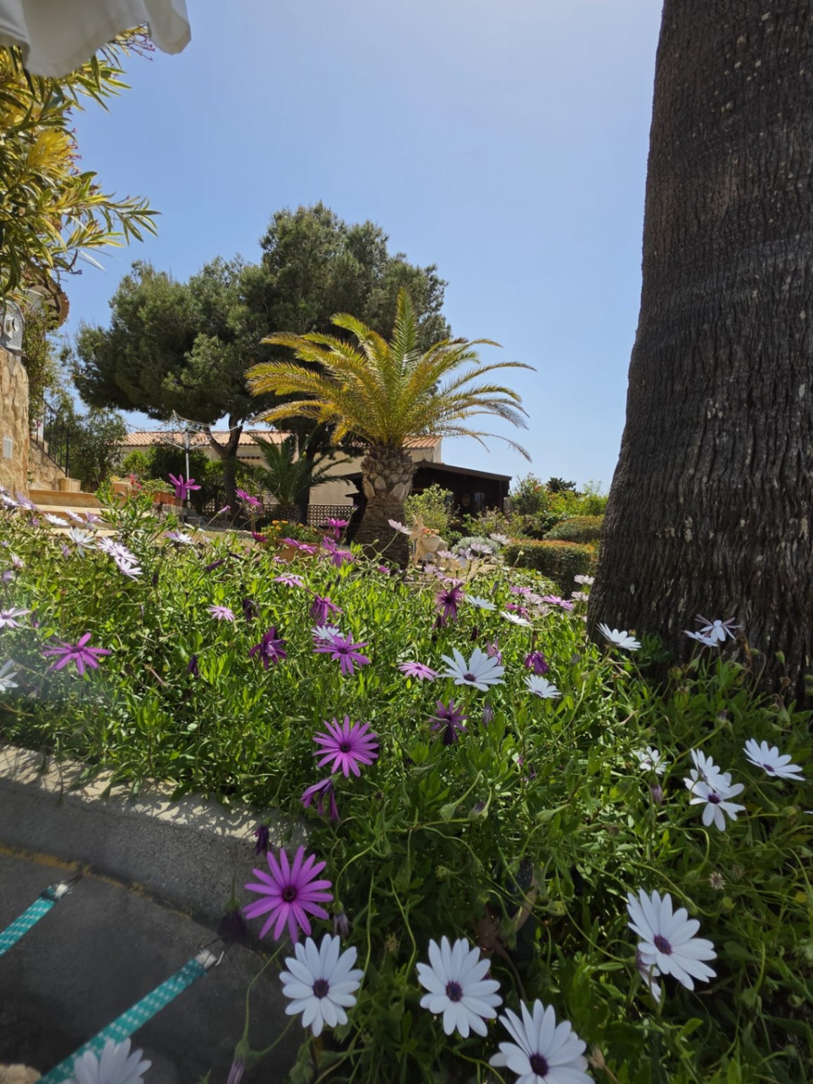 Charming villa in the prestigious area of Balcón al Mar, Jávea.